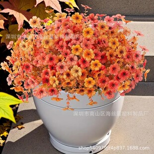 �羳���R�d������ɫ�ȼ������_�m���ϼٻ���c�ҾӾƵ�廨�b�