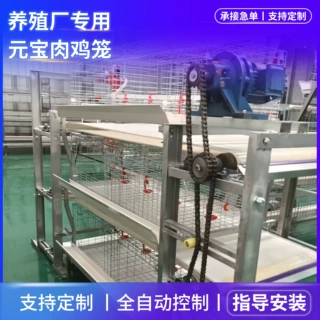 定制元宝肉鸡笼全自动清粪机械鸡笼三层四门立体养殖鸡场肉鸡笼子