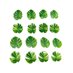 ���������~�ָ��z�� ���׿ɴ�֦�� ����Gֲ�����~�Ҿ��b[��