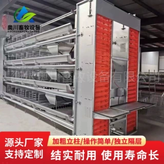 哇哦定制全自动蛋鸡笼多层阶梯清粪捡蛋喂料蛋鸡笼子养殖厂蛋鸡笼