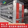 清粪自动多层喂料蛋鸡笼