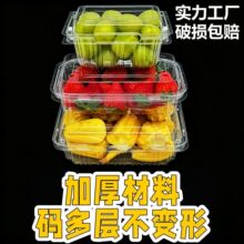 一次性打包盒水果盒子带盖透明塑料果蔬保鲜盒草莓一斤加厚包装盒