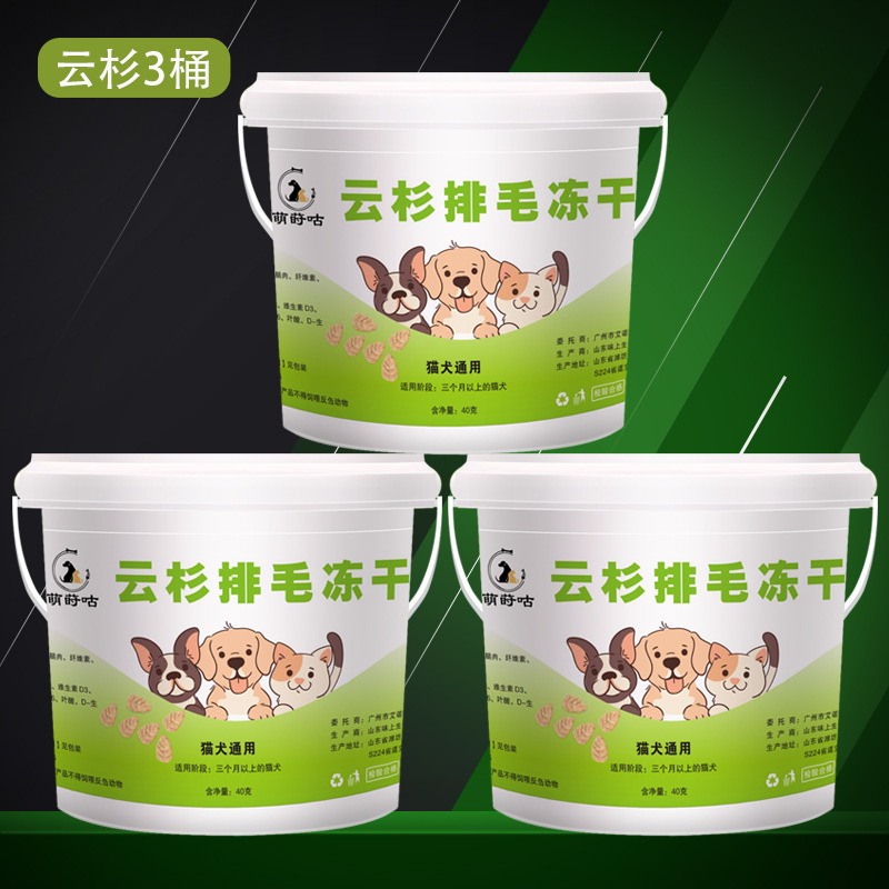 Abeto de abeto helado para gato helado