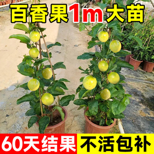 1���ش�������������S����������J��9̖�޽��Ϸ��ļ�����
