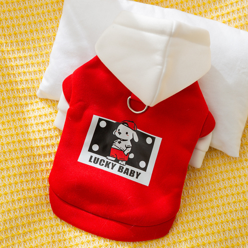 一键复制_20240816194617