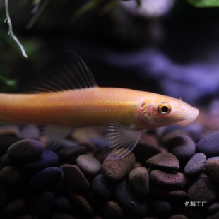 ��̦���~���w��ˮ�Ꭷ�^�p�~�������̦���~���坍�����~����ח�