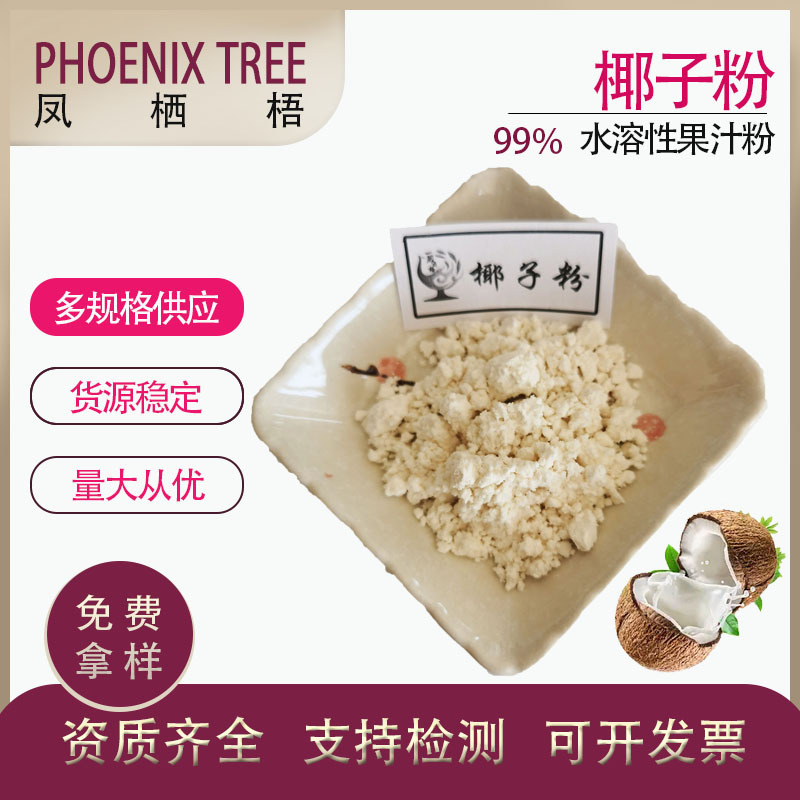食品级 椰子果粉 水溶性 固体饮料原料 椰子汁粉 喷雾干燥 椰子粉