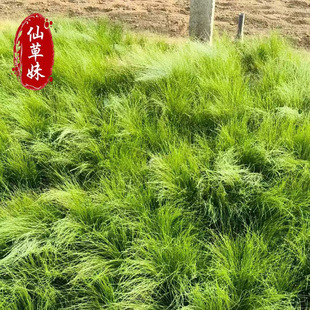 ���o�é ��ë�� ���@�G���^�p�� ���ش������� �޸��ݻ���ë