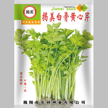 揭美白骨黄心芹种子 小香芹芹菜籽 阳台盆栽农田蔬菜种子400克装