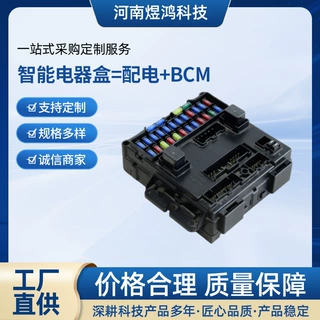 汽车智能电器盒总成集成BCM控制模块主机厂配套厂家直供量大价优