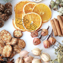 diyɹľƬ~ɻɹM}Qb׃@b[͹ŵ