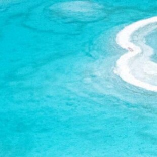 ����朽� 2