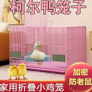 �J���u�����Bֳ���ü��ܴ�̖�\С�u�\�r�u���\�g��� ����\�F�z�\