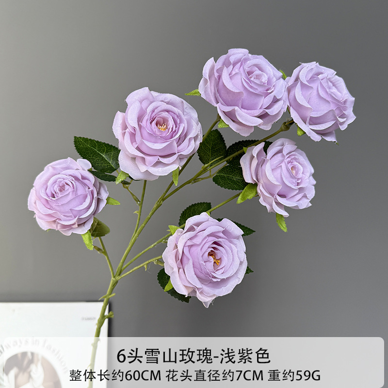 6송이 설산 장미