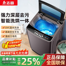 志高全自动洗衣机家用小型洗脱洗脱一体大容量波轮出租屋租房宿舍