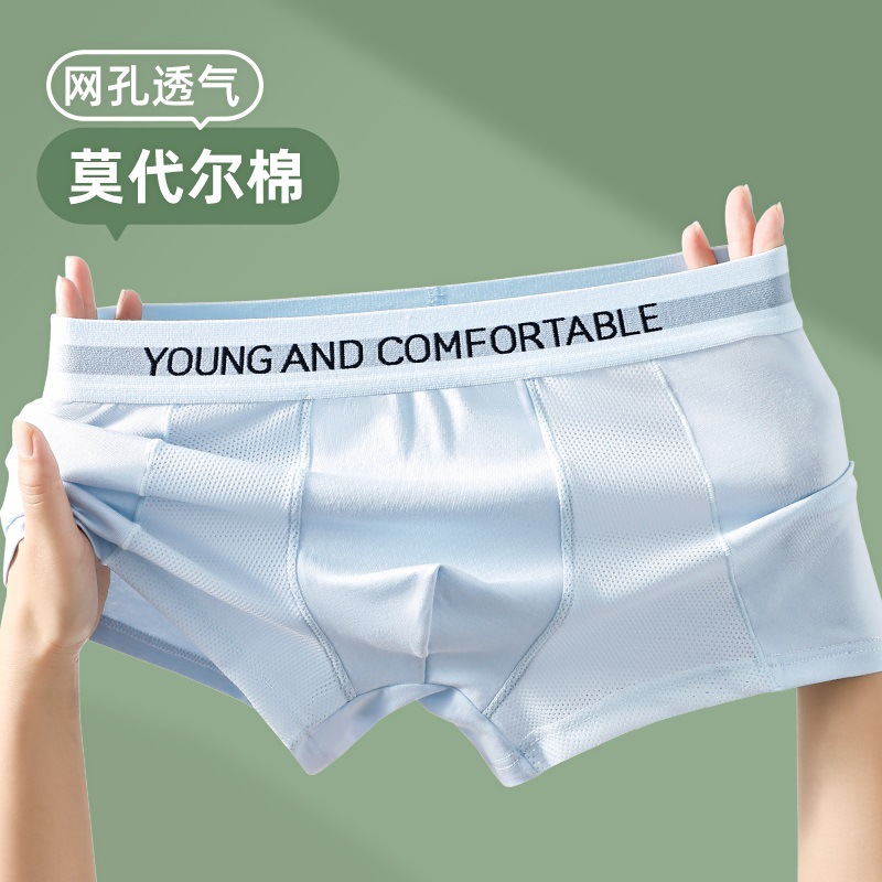 Algodón modal ropa interior de los hombres verano malla delgada transpirable Boxer shorts jóvenes Boxer shorts ropa interior