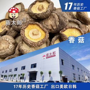 �㹽��؛���l���㹽Ģ�������ɹ���������Ҝ����ڻ��؂䰸