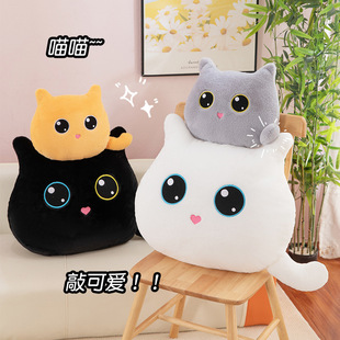 ���Q����؈�䱧���羳�ɐ��^��С؈ë�q���ץ�C����ɳ�l���|��ż