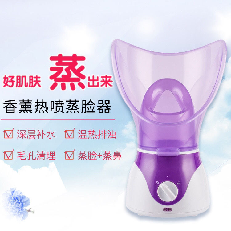 Heat Spray Aromatherapy Steamer Beauty Device Mist Maker Facial Hydrator Humidifier Face Steamer Home Use