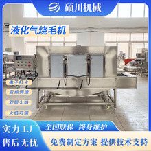 Ƥ廨ԄëC ⽷C ii^ëCS