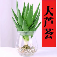 ���]��ؔ�J�Cˮ��ֲ��������͏d�k���ҳ���ȩ