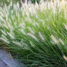 βݷNļ_׷N̨҃ԾGֲͥԺ^pܷN