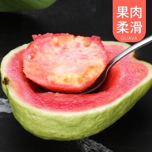 �V����ʯ��t�İ��İŘ��������rˮ���ι�120-400g