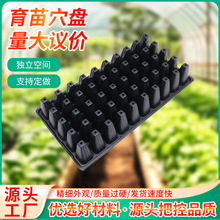 �߲�������������P ���������r�����NǤ��� ������������PѨ�P