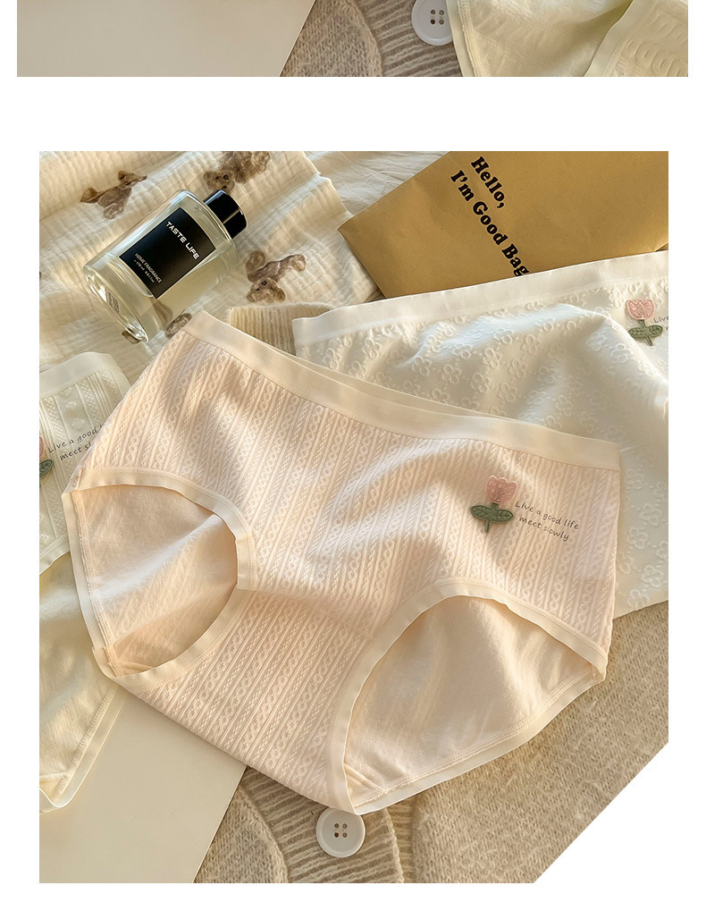 All Seasons Season Women's Gender Casual, Elegant, Cute Style Flower Mid Waist Panties