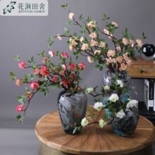 ����ٻ���֦÷���l��֦��ܛ���������b��Ҿӕ����͏d��֦