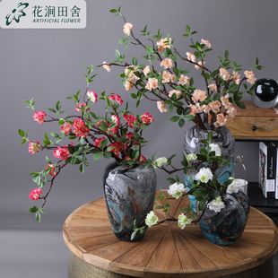 ����ٻ���֦÷���l��֦��ܛ���������b��Ҿӕ����͏d��֦