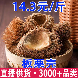 ��ë�� ��ë�� ���̚� �L���� ���������l���l