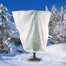 �羳�o����ֲ������ֶ���ֲ�ﱣ�o��ֲ�︲�wֲ̺�������