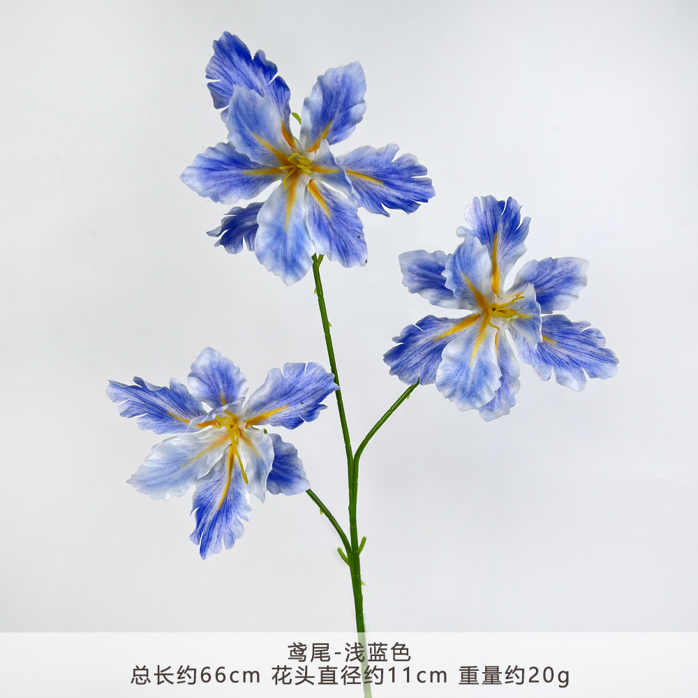 HT-鸢尾-浅蓝
