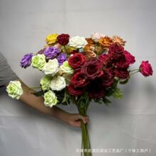 ���滨6�^����õ �ʯõ����õ���c���Ų廨�b�Y�ø߼��л�