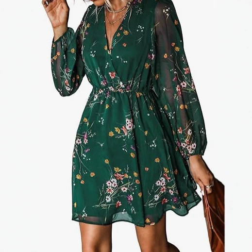 Women's Mini Dress Casual Spring V-Neck Chiffon Long Pastoral Sleeve Flowy Spring Dress