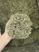 ��ꖹ�ˇ�ؼ����~����G����ѿ��ǰ������G��2025�²��֖|��