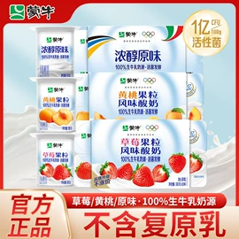 其他软饮料;酸奶;巧克力