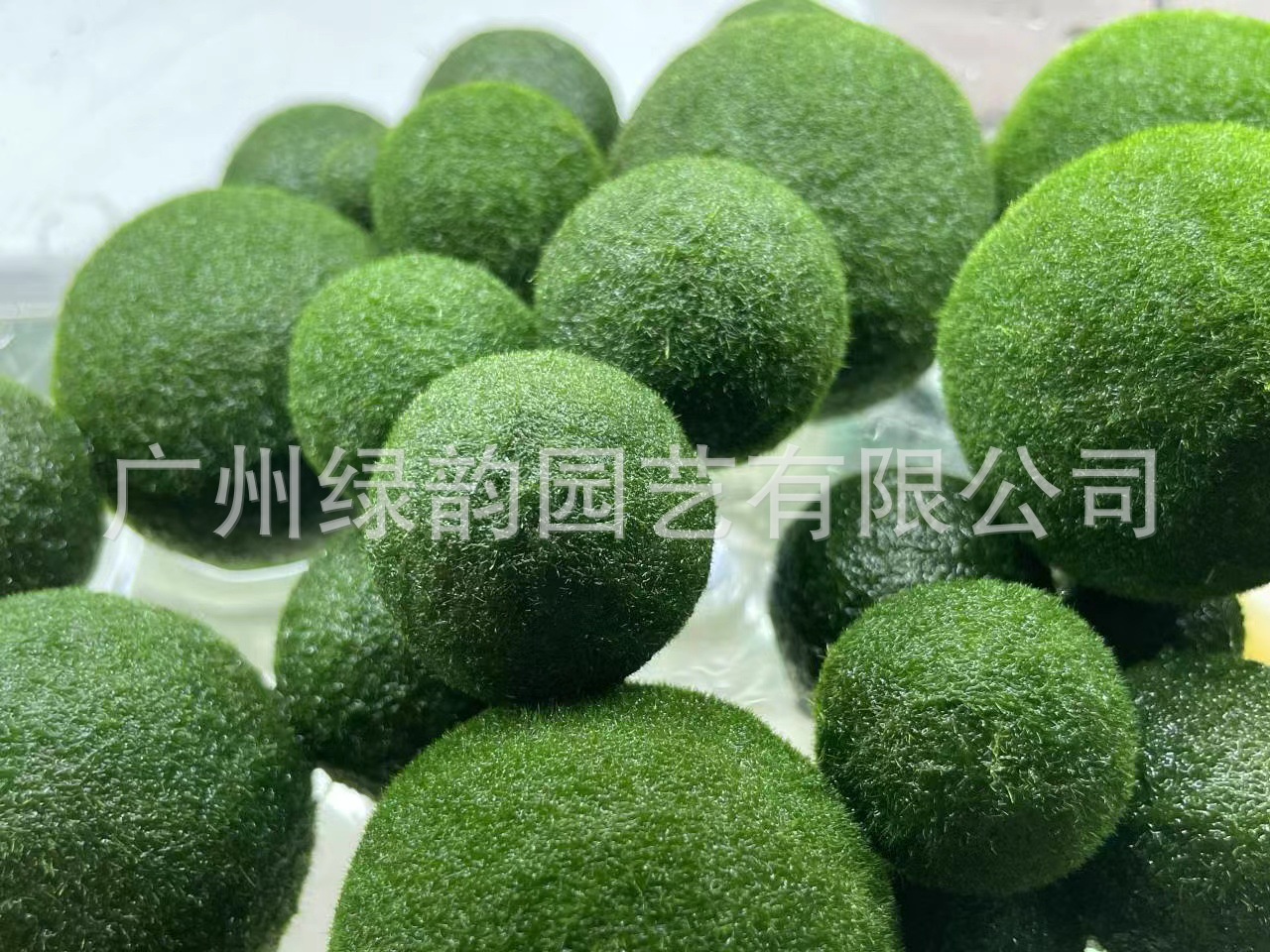 742480e3c25ba73e6f4f13ebd135fd