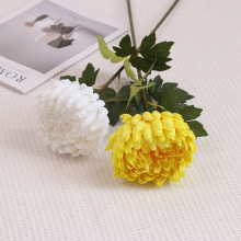 ���滨��֧���F��ͥԺ�쾰�ջ���������ٻ����Ứ�ĺ��s�[�O��ˇ