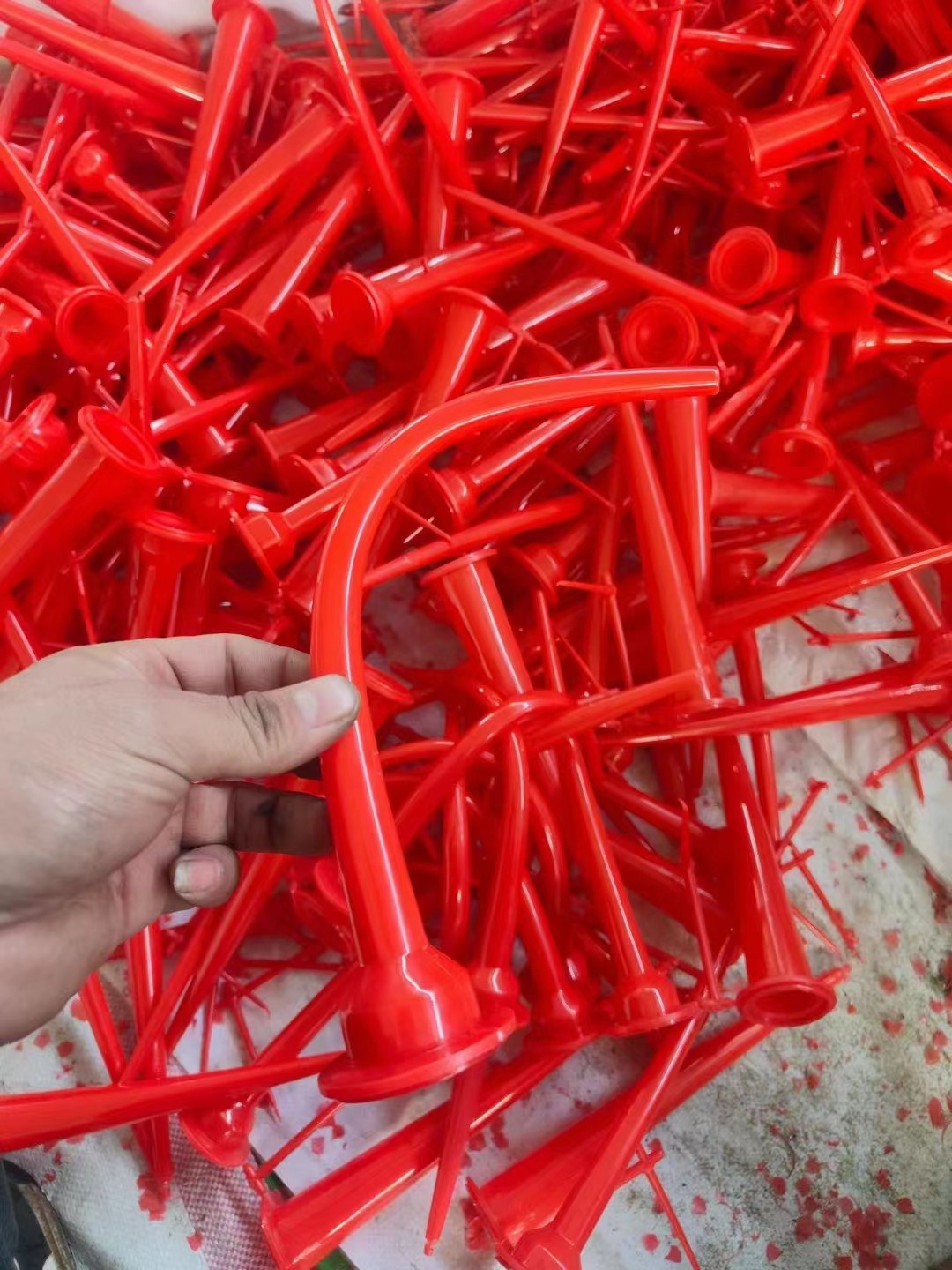 微信图片_20240903102442