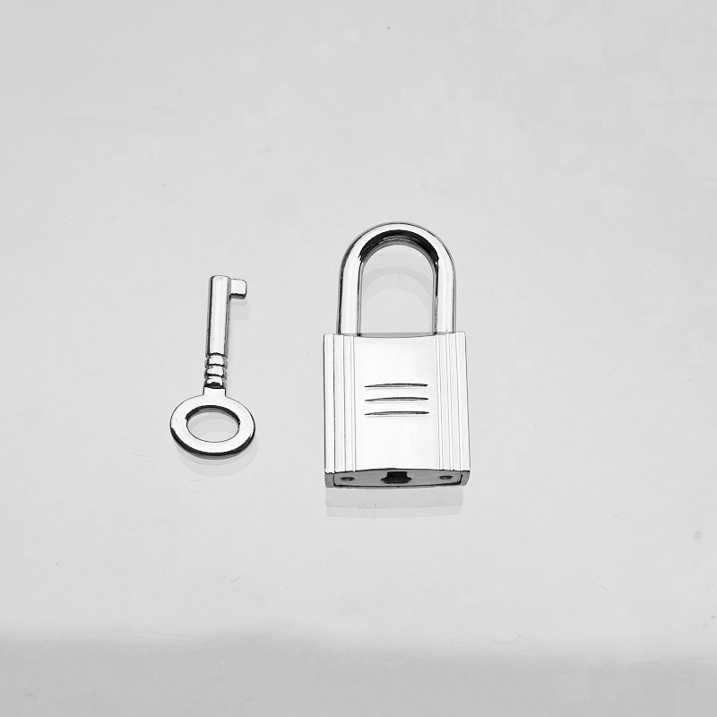 Accesorios metálicos rectangulares de placa de bloqueo doble D gancho de tornillo de bloqueo arco pequeño platino Kelly bolso de mujer tornillo de clavo