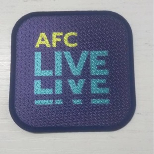 2324 Asian Cup-flocking frame-ironing cloth-blue mark-heat transfer number thermal transfer sticker ball uniform jersey supplies