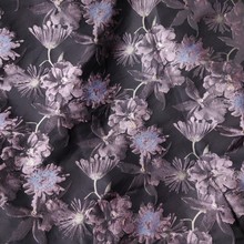 ߙnŻܾỨɫŷɫWBȹ׶ѝŮb