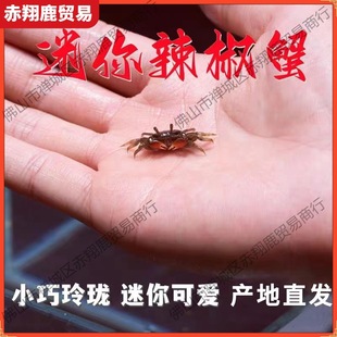 ��������з����С�з�^�pз���l����з����з��ˮз����з��