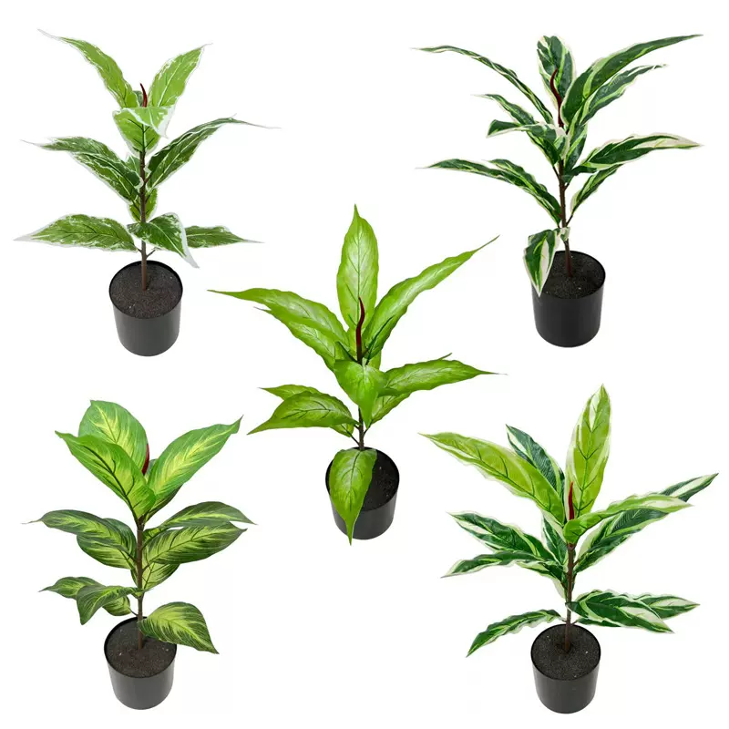 亚马逊跨境北欧风仿真绿植盆栽七彩竹芋青心万年青假植物家居装饰