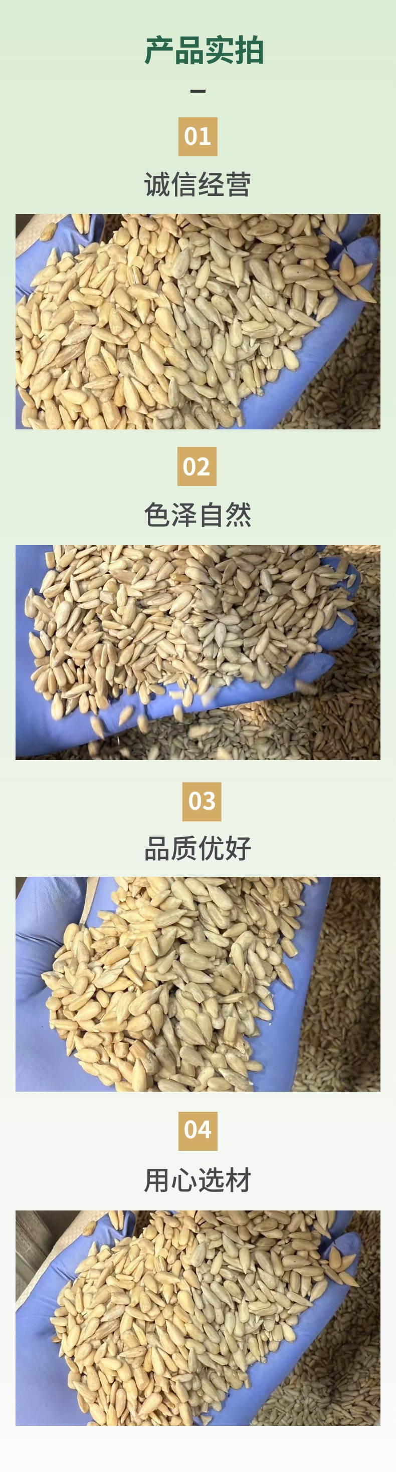 Sunflower Seed Kernels Kuihua Ziren Raw Shelled Sunflower Seeds for Snacking and Baking specifications