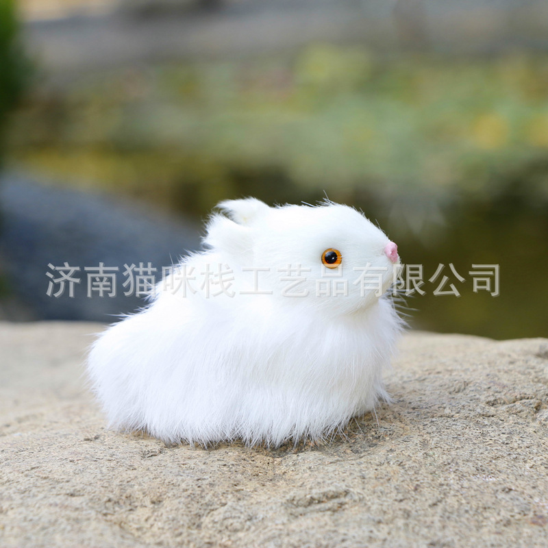 小兔宝宝