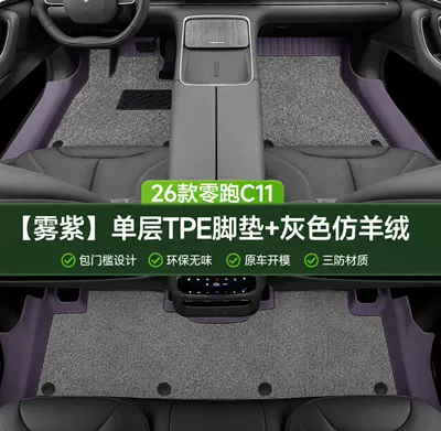 Modelə uyğun ayaqaltı Eco-Friendly Tpe Leapmotor C11 Door - mist-purple-single-layer-floor-mat-gray-imitation-cashmere-covering-threshold