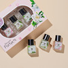 Town Ika new pattern Privates Perfume suit Pheromones lady Perfume Gift box packaging Vietnam Perfume One piece On behalf of